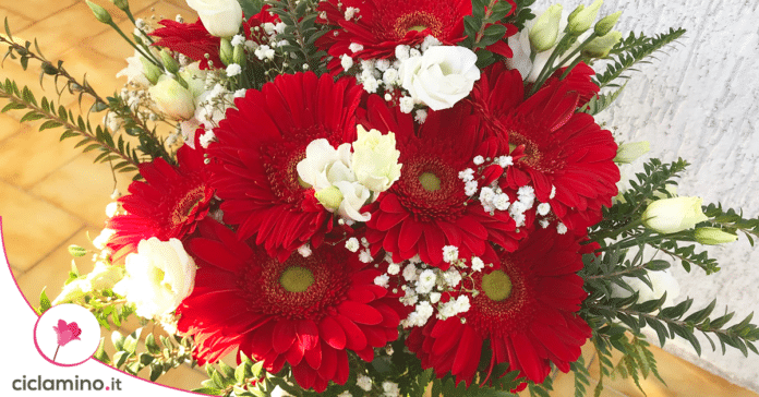 come-mantenere-fiori-recisi