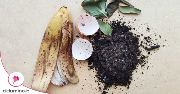 come-fare-il-compost