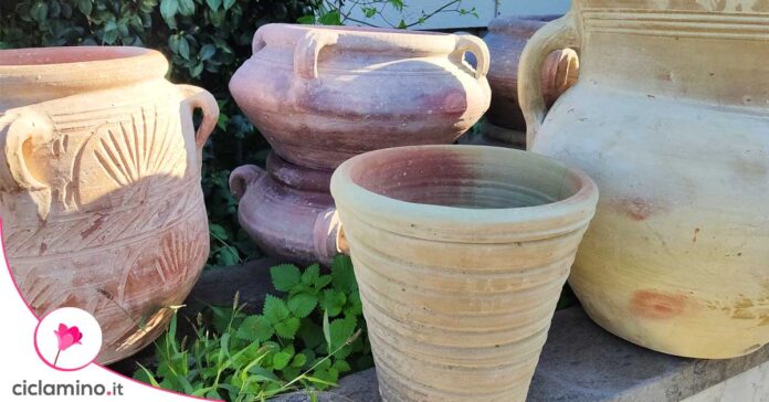 come-scegliere-vaso-piante