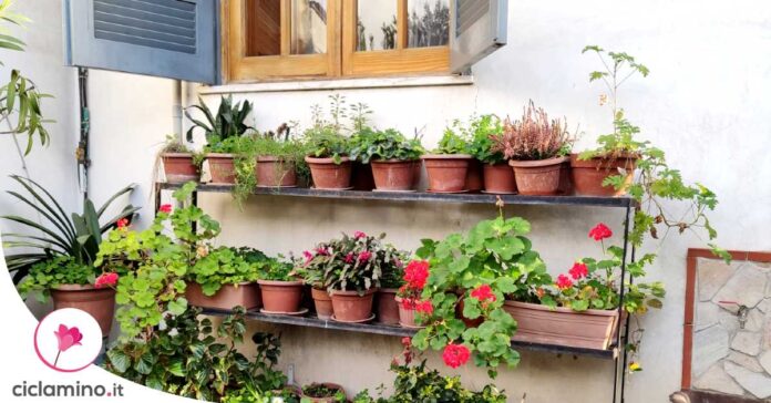 giardino-verticale