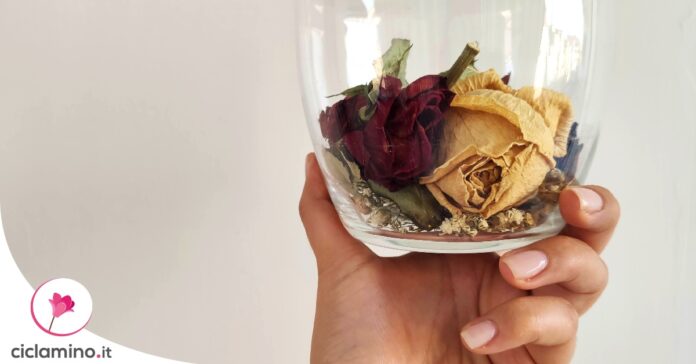 come-essiccare-rose