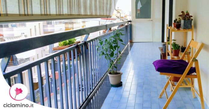 arredare-balcone-stretto-lungo-piante