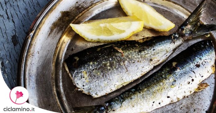 emulsione-pesce-concime-piante