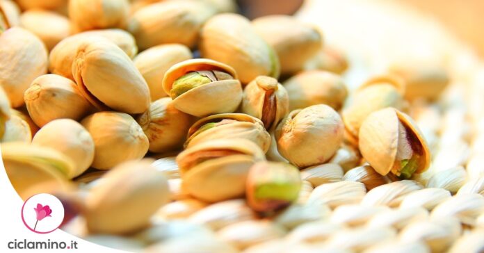 seminare-pistacchio