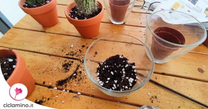 perlite-per-piante