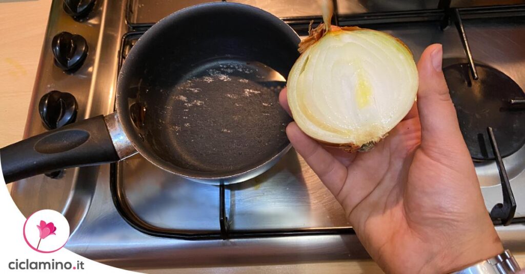 decotto-cipolla-piante