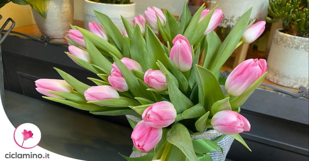 tulipani-dopo-fioritura