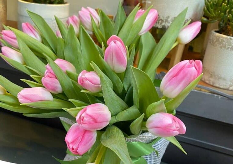 tulipani-regalare-marzo