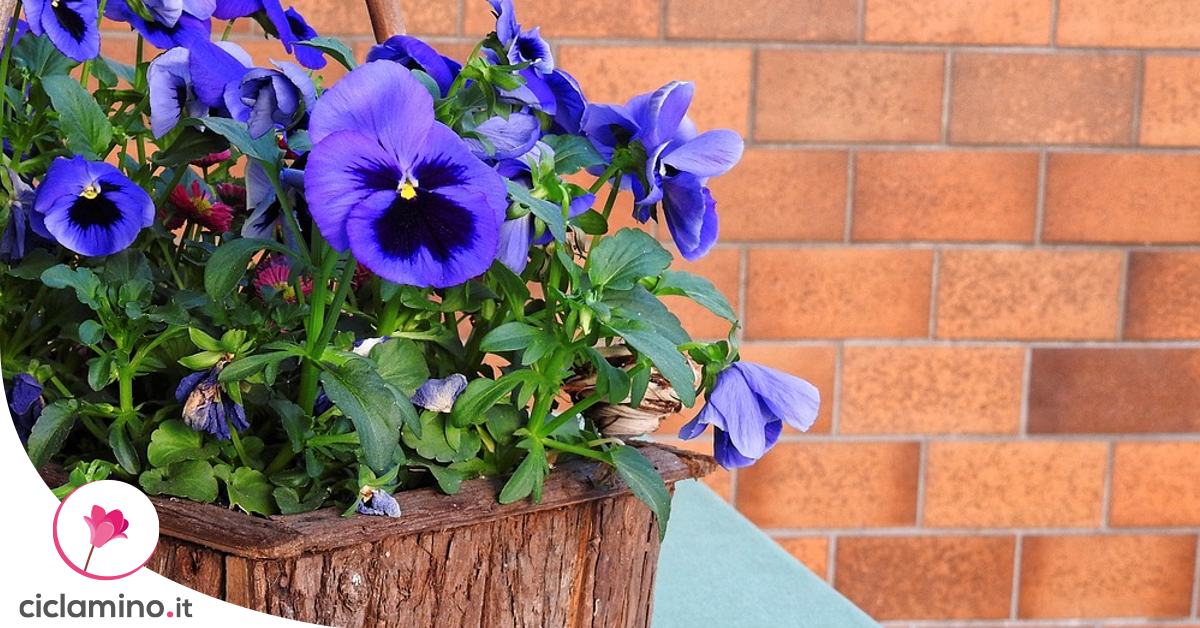 Ghirlanda floreale estiva e primaverile per porta d'ingresso