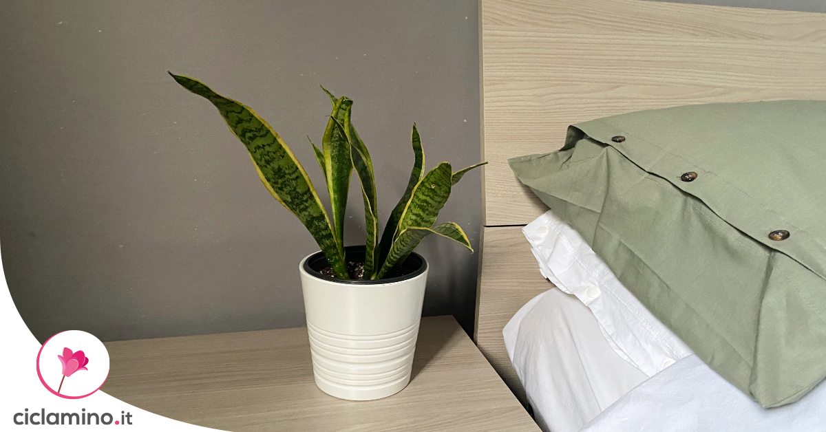 Cuscino Testiera Letto Pannelli Imbottiti Per Pareti - Cuscino Morbido Impermeabile, 40x20 Cm, Blu Cielo Protezione Pareti - Foto 5