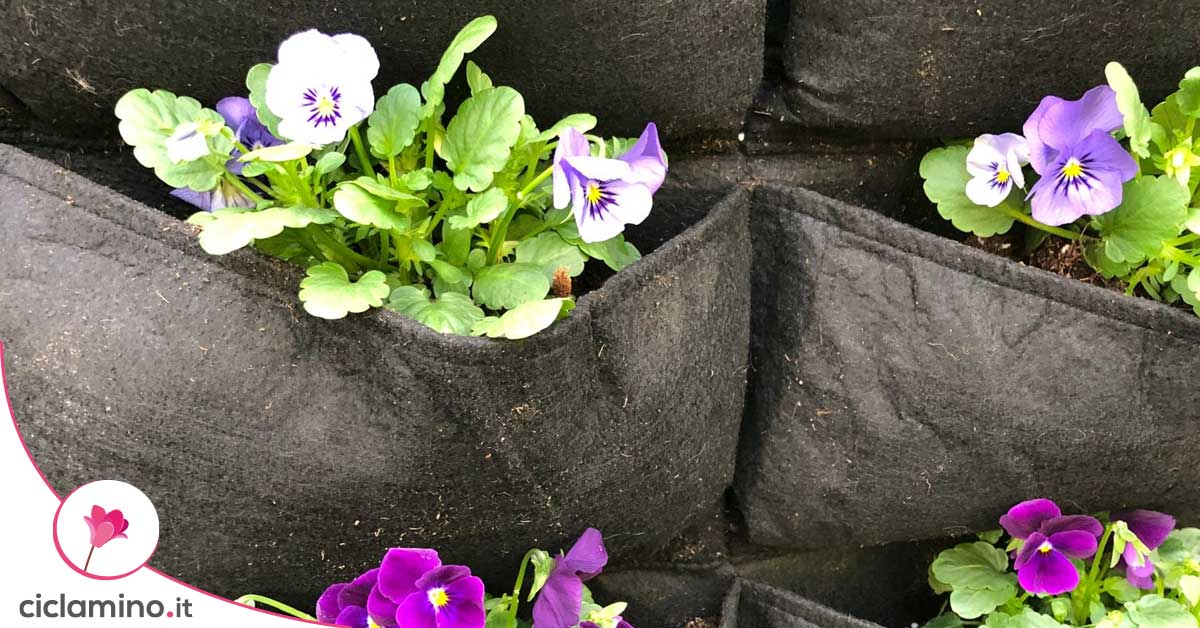 120m² Tessuto Non Tessuto Geotessile, Tessuto Non Tessuto Antierbacce Tessuto Non Tessuto Per Laghetto 250g Larghezza 1 6m 89323725 - Foto 6