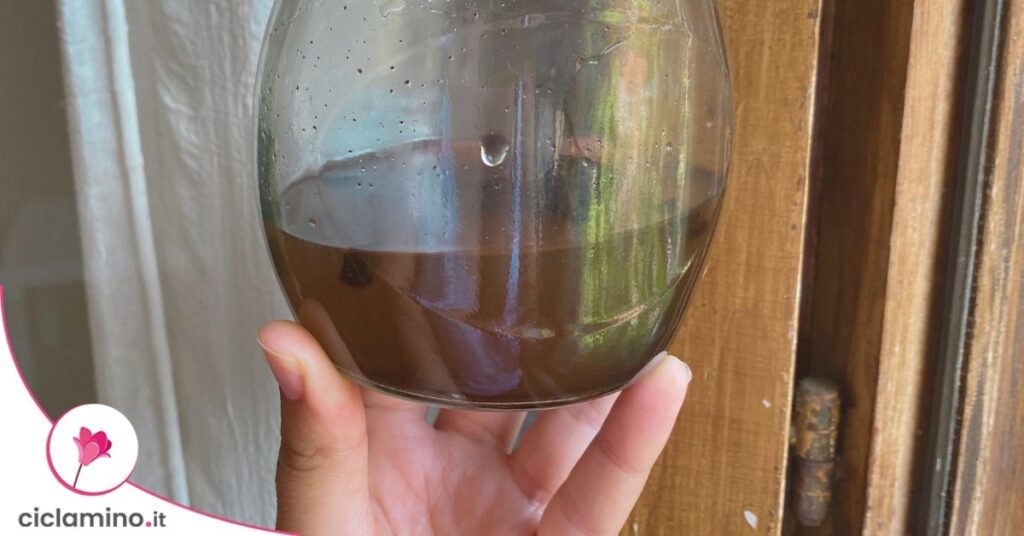 fertilizzante naturale liquido