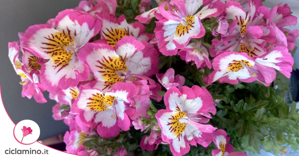 Centrotavola di fiori di orchidea artificiale per tavolo da pranzo con decorazioni per piante finte di seta vaso  15