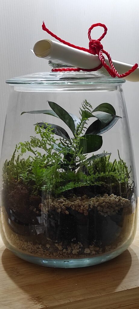 terrarium barattolo