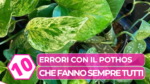 errori pothos