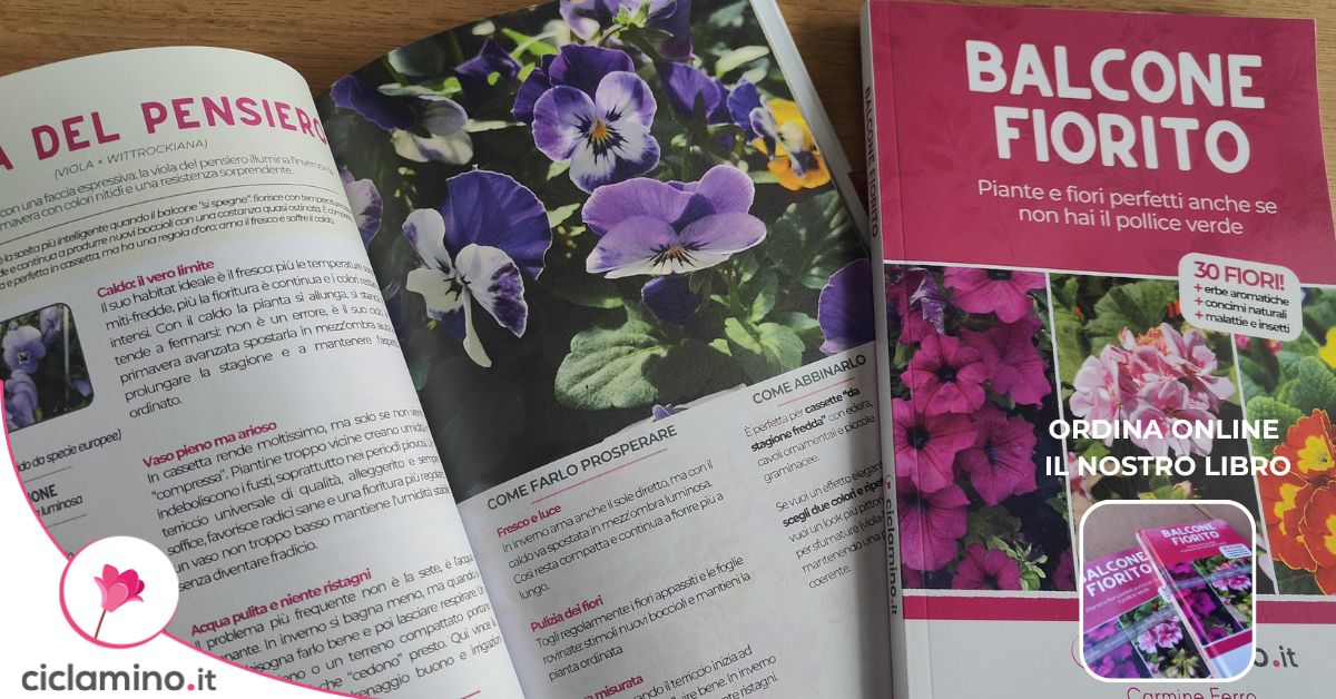 Il libro Balcone Fiorito: copertina e pagine dedicate alle piante da balcone.