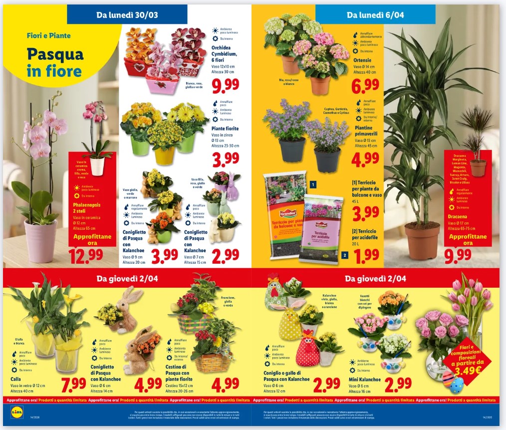 pasqua giardinaggio volantino lidl