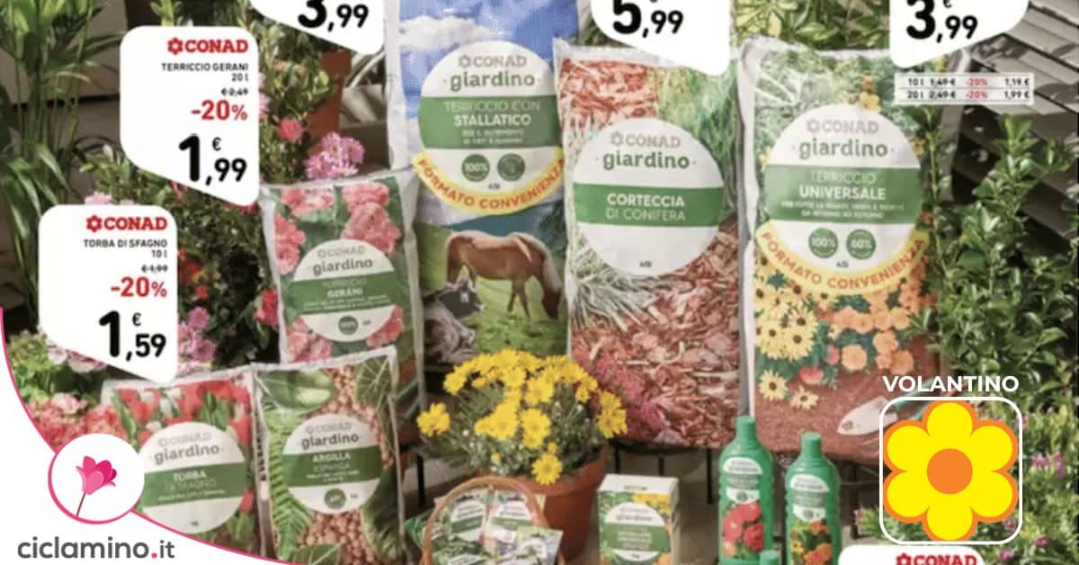 volantino conad giardino