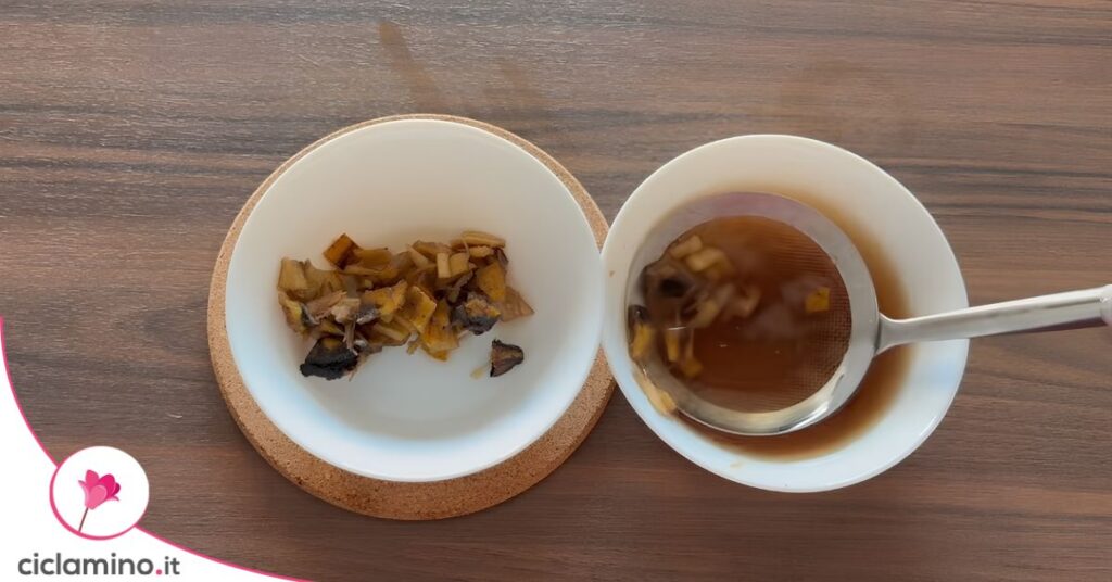 macerato di banana concime