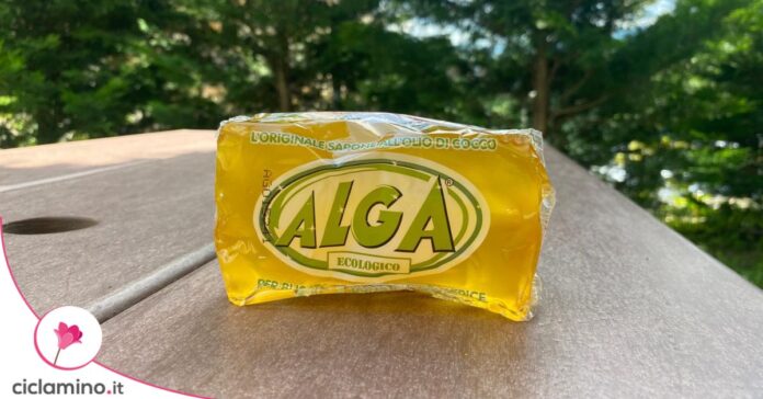 sapone alga