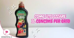 Come utilizzare il concime liquido per l’orto